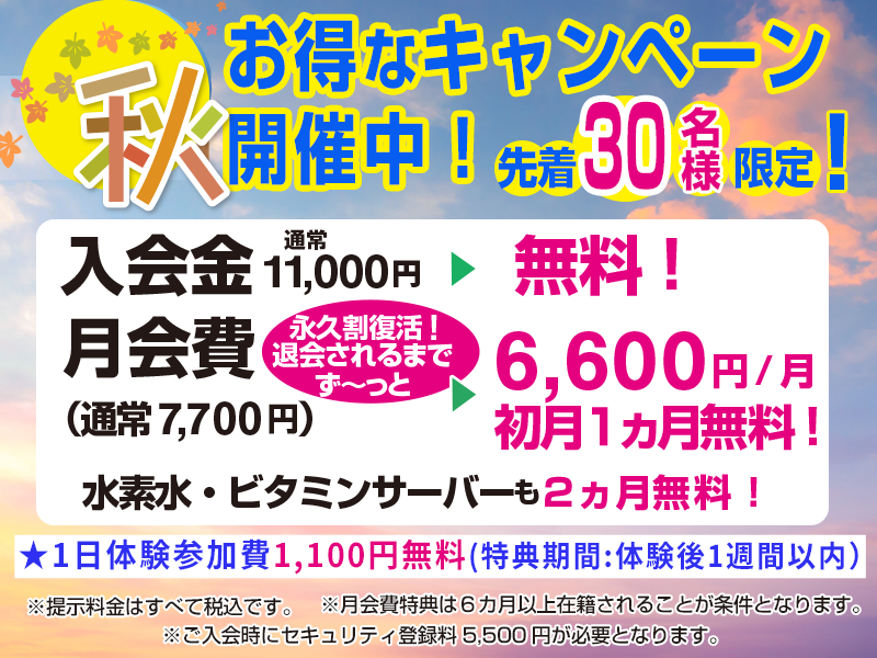 秋のキャンペーン！